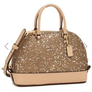 Glitter coach crossbody bag